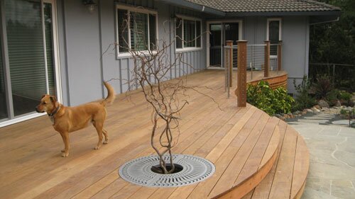 curved ipe deck with dog